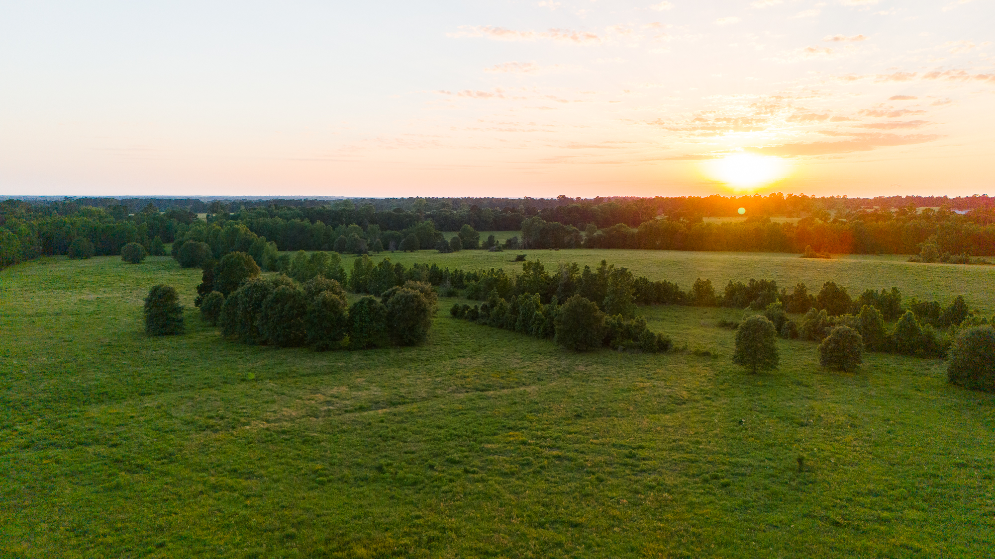 —SOLD— Lightnin’ Ranch in Leon County – $999,900