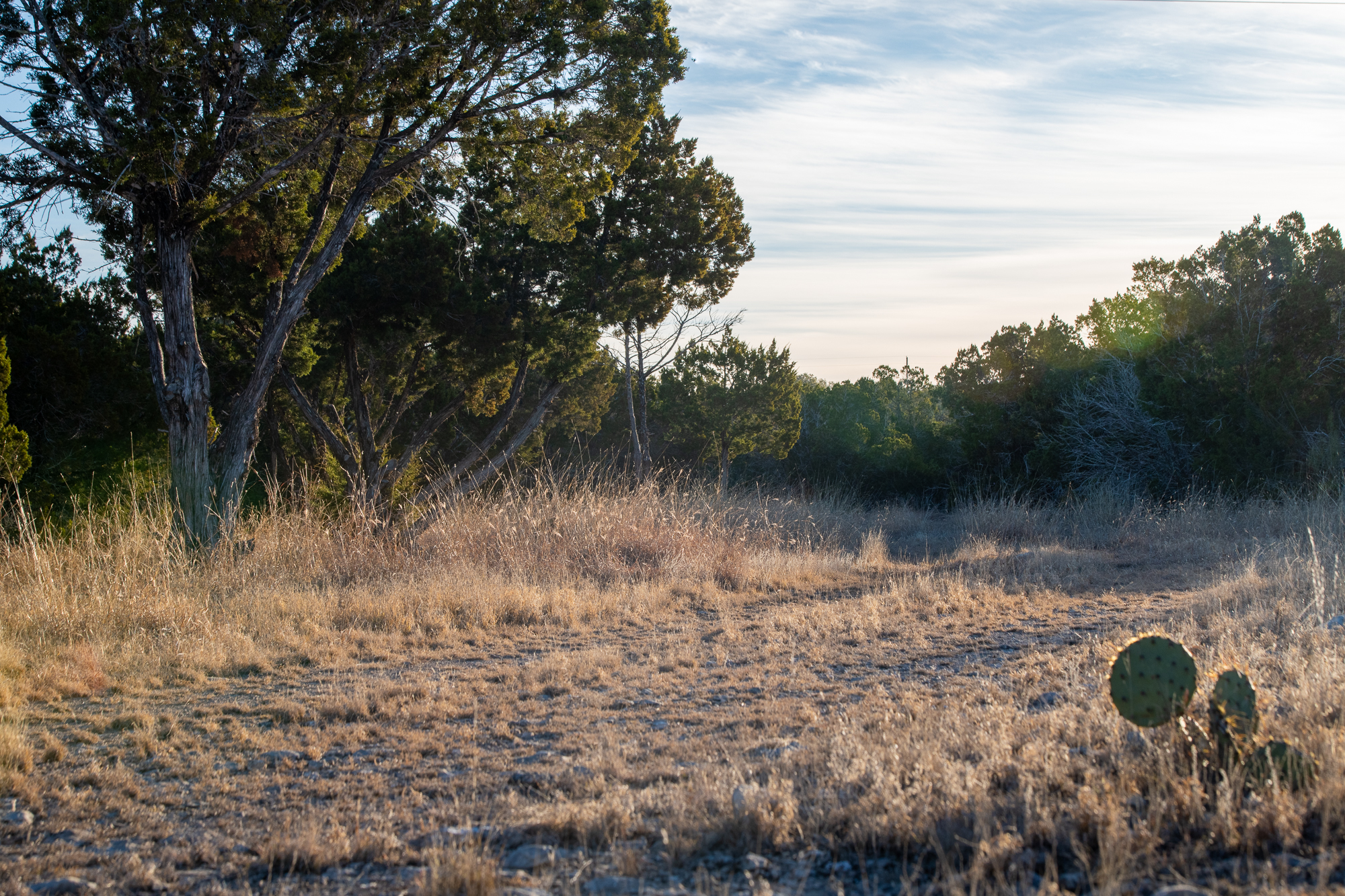 — SOLD —62.32 Acres in Rocksprings, TX – $320,000